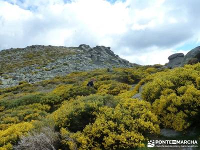 Cuerda Larga - Miraflores de la Sierra; rutas senderismo sierra de guadarrama rutas para senderismo